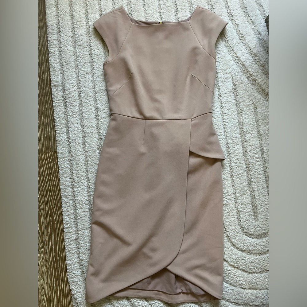 The Limited Scandal Collection beautiful blush dress! Size 0.